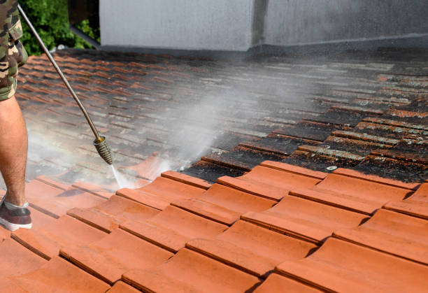 Best Pressure Washing Driveway  in Beverly, OH